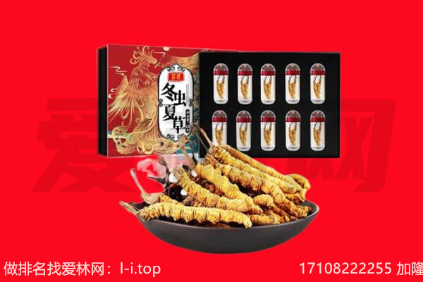 商洛商州区回收虫草.jpg